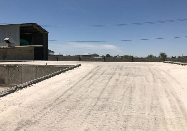 WhatsApp Image 2021-06-24 at 00.16.32